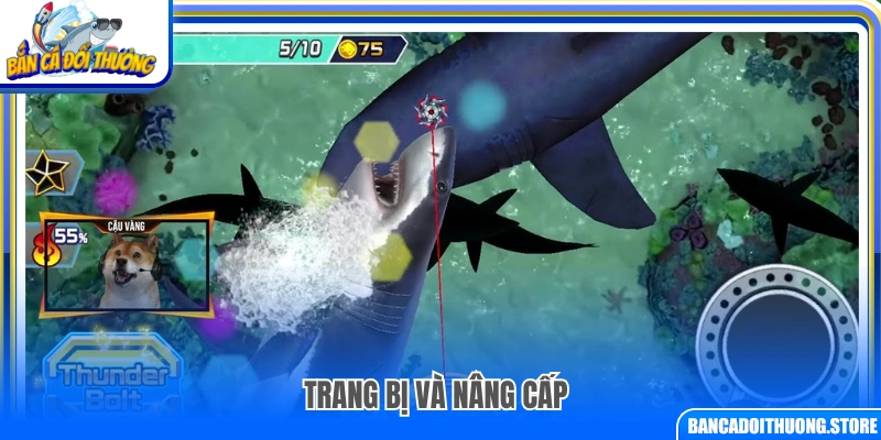Hệ thống trang bị và nâng cấp trong game