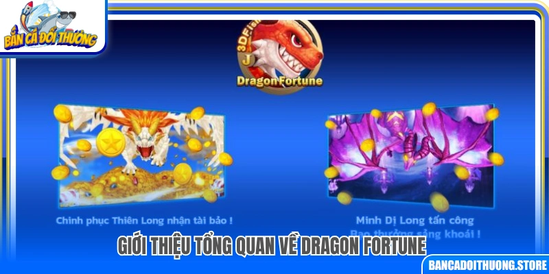 Tìm hiểu chung về game Dragon Fortune