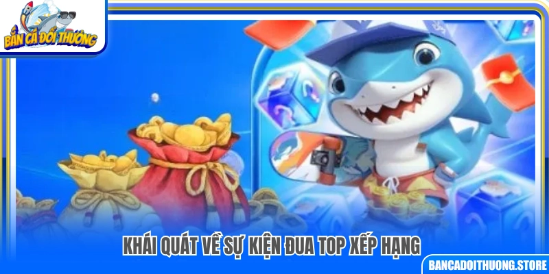 Tổng quan về sự kiện đua top xếp hạng