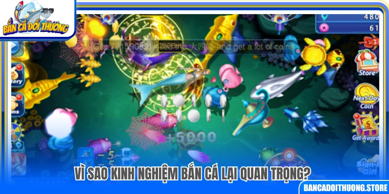 Tại sao kinh nghiệm bắn cá lại quan trọng?